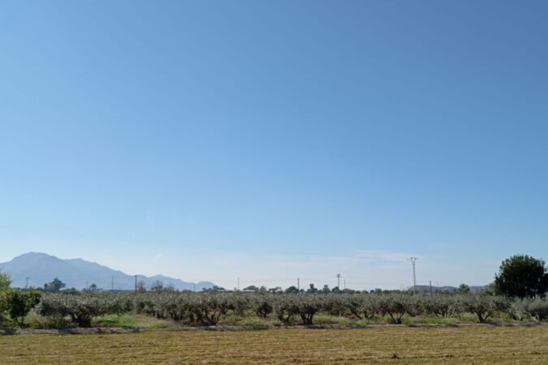 Reventa - Town House -
Catral - Costa Blanca