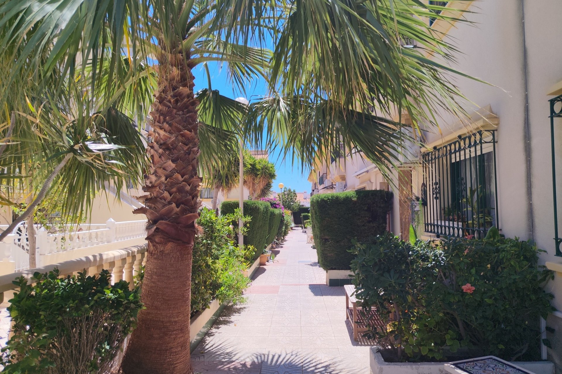 Reventa - Town House -
La Zenia - Costa Blanca