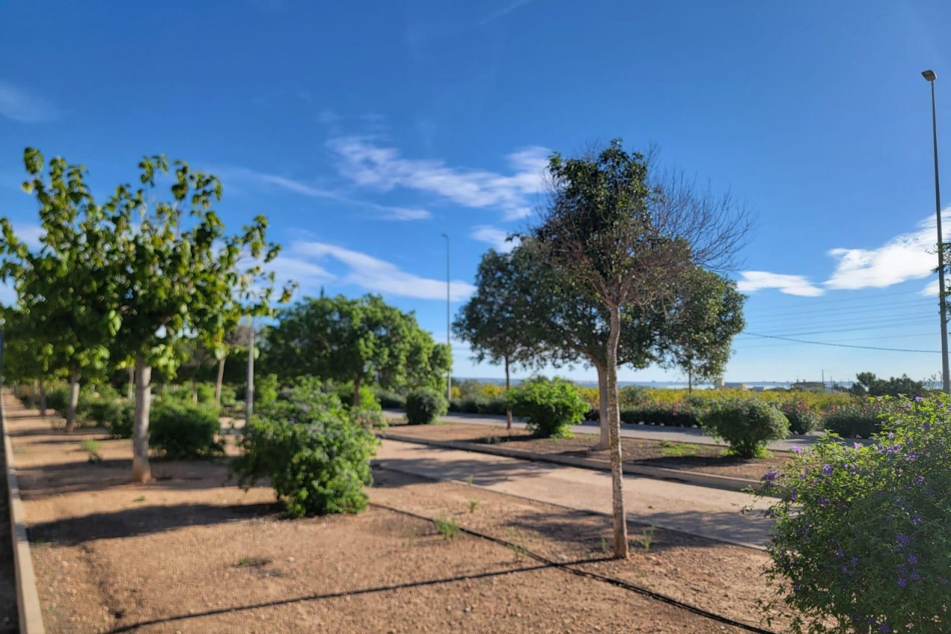 Reventa - Town House -
Los Montesinos - Los Montesinos - Urb. La Herrada