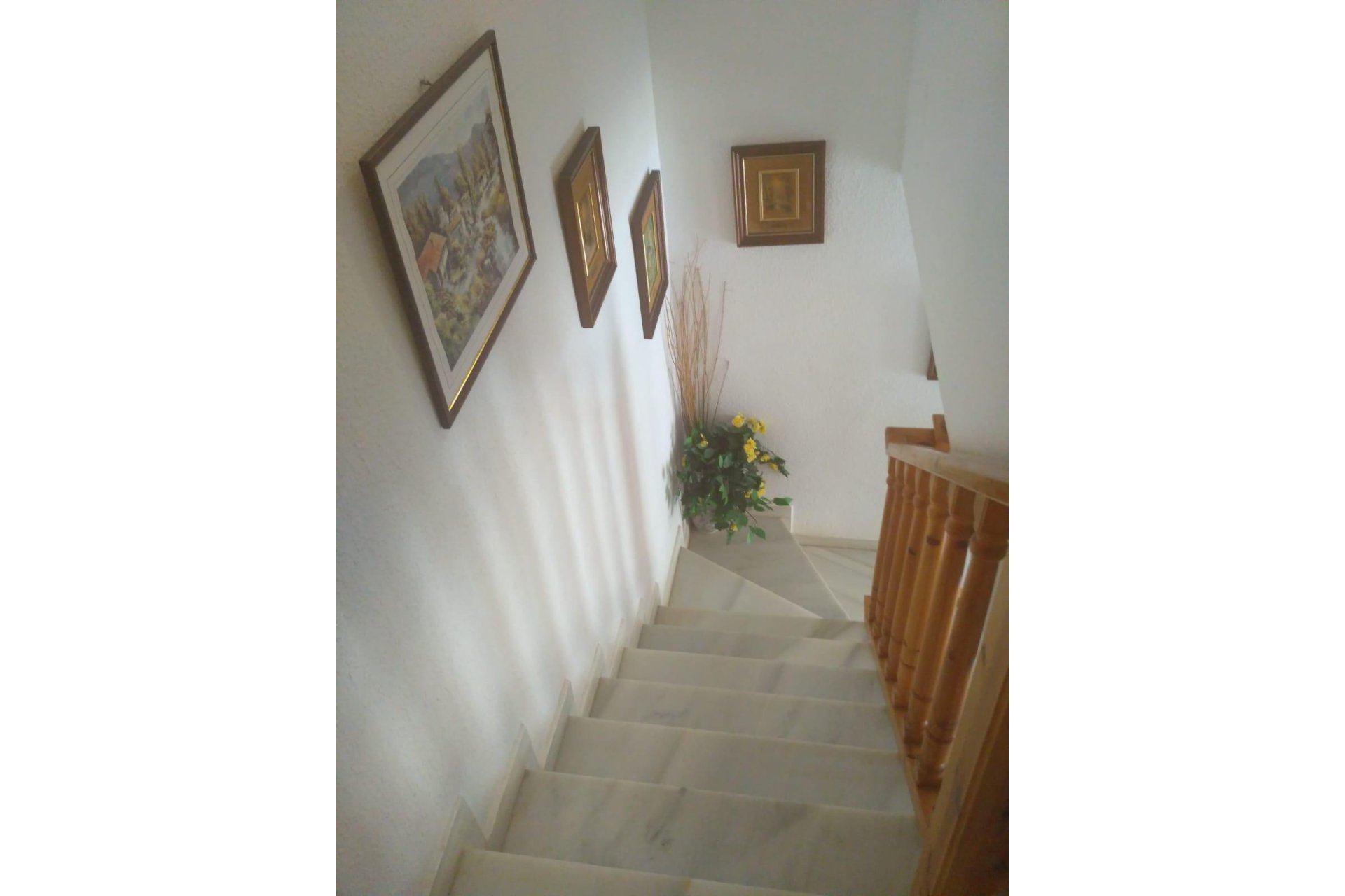 Reventa - Town House -
Torrevieja - Los Europeos