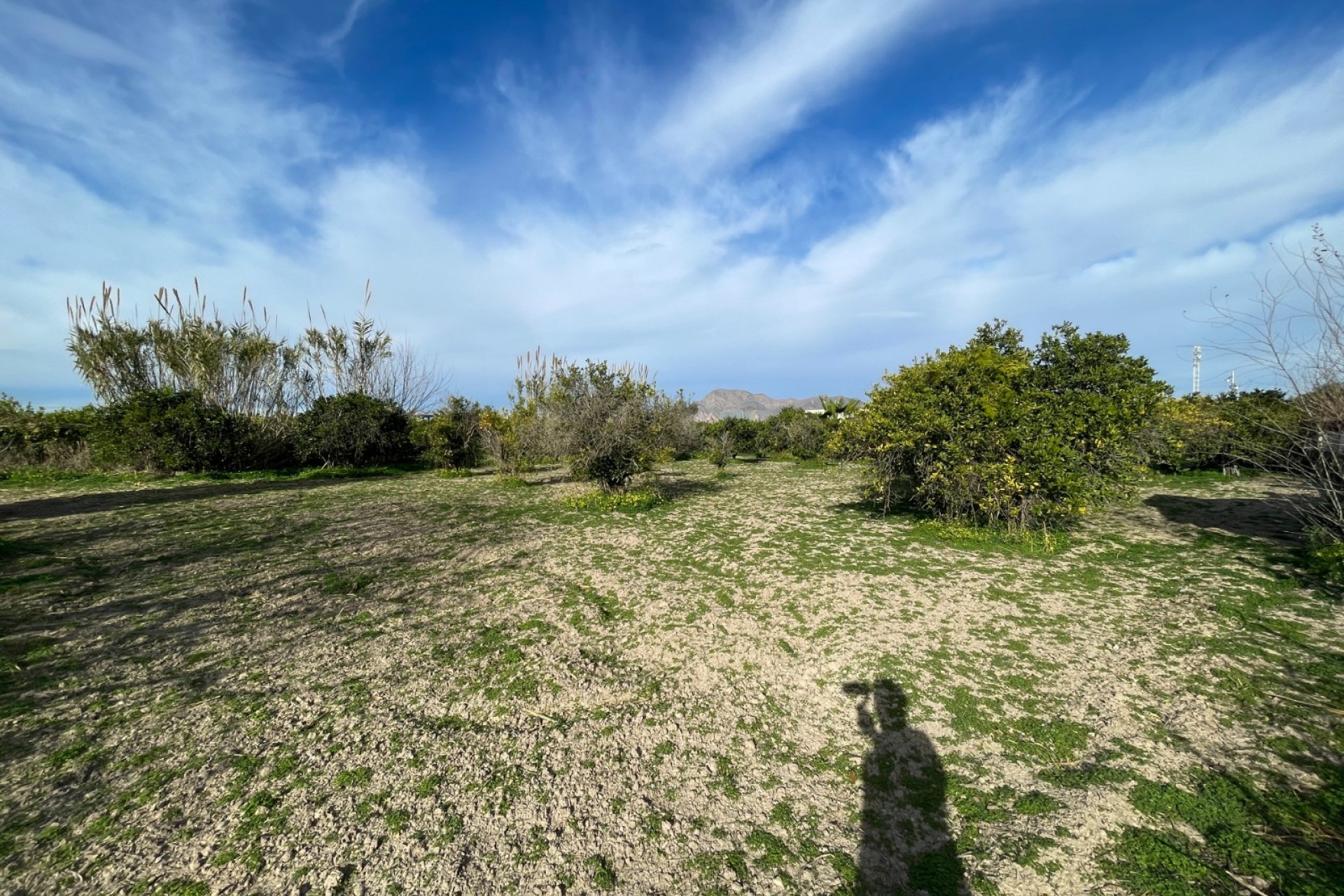 Reventa - Villa -
Benejúzar - Inland
