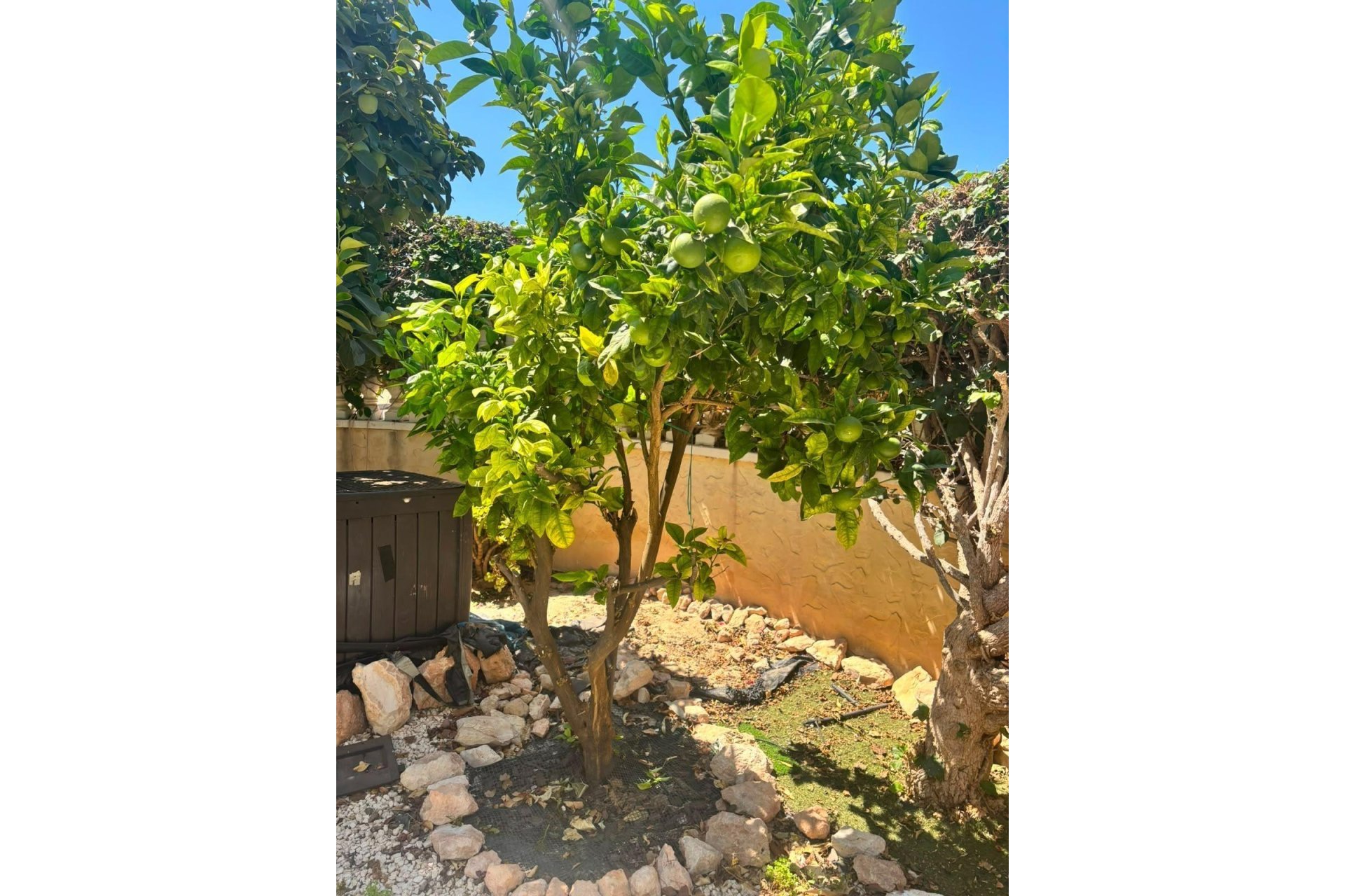 Reventa - Villa -
Orihuela Costa - Lomas de Cabo Roig