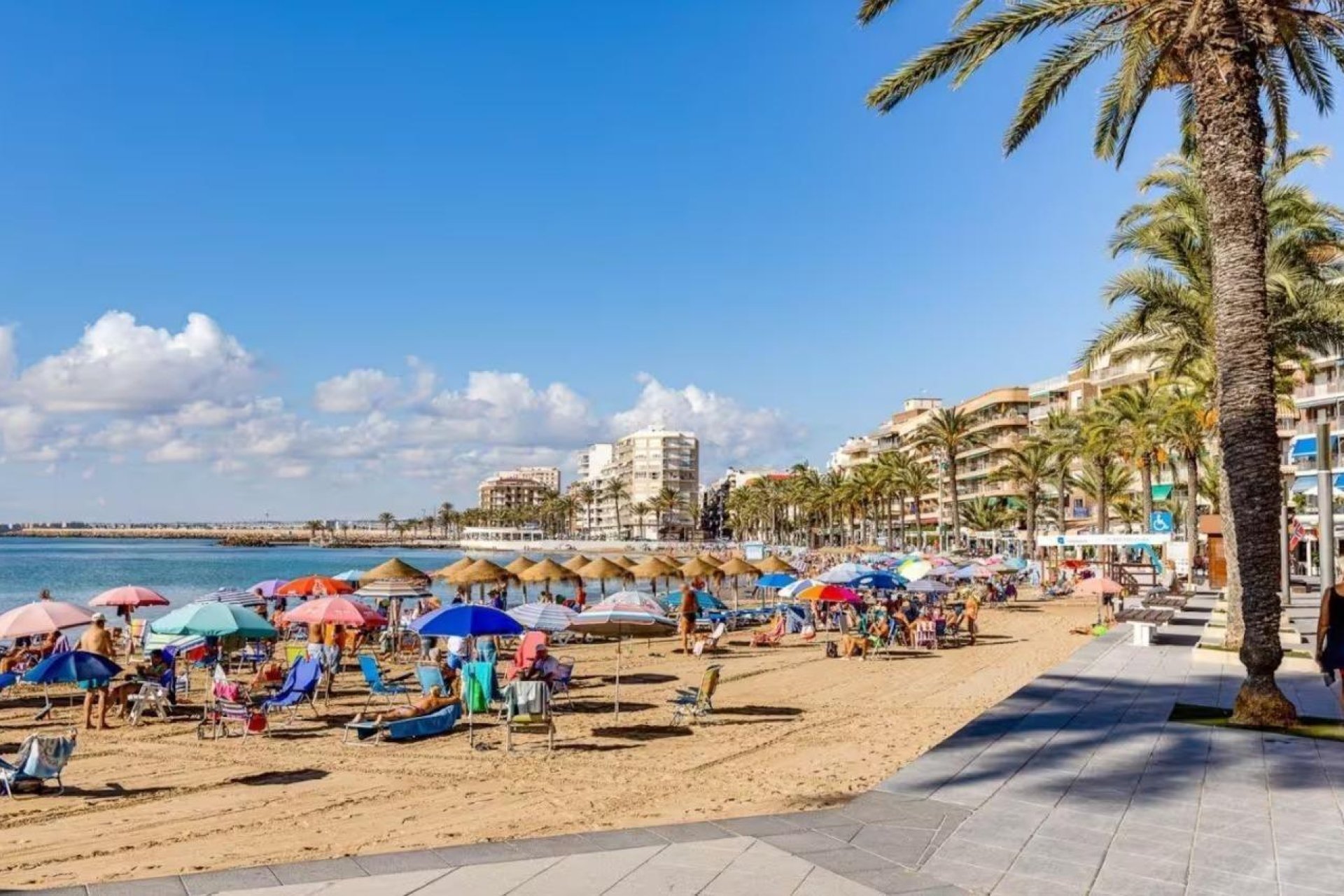Reventa - Villa -
Torrevieja - Centro