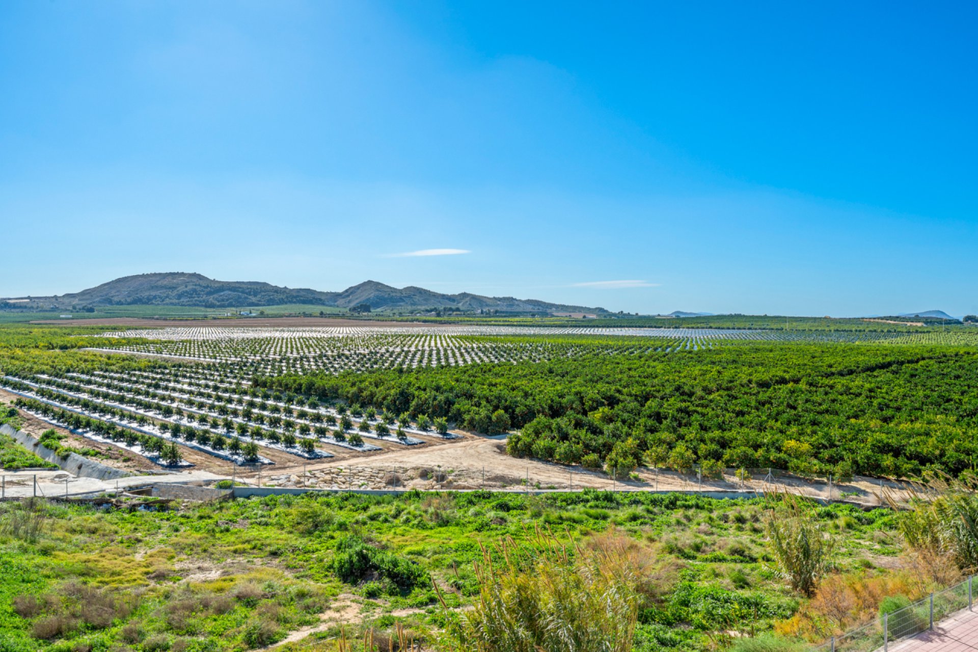 Revente - Apartment -
Algorfa - Inland