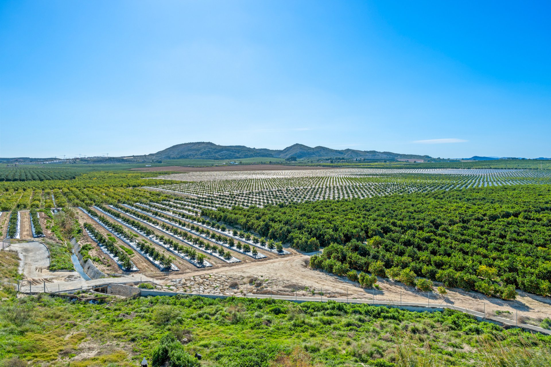 Revente - Apartment -
Algorfa - Inland