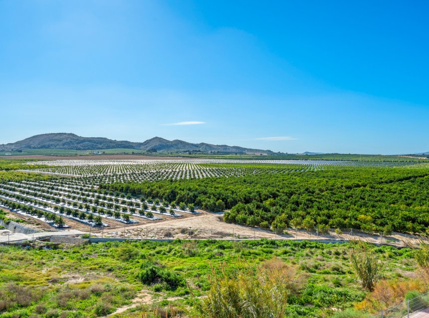 Revente - Apartment -
Algorfa - Inland