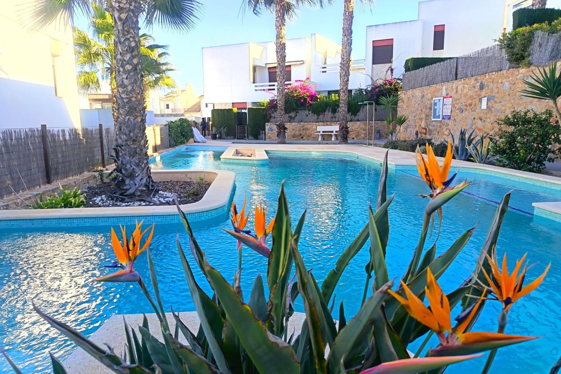 Revente - Apartment -
Algorfa - Inland