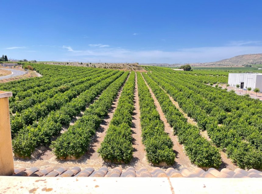 Revente - Apartment -
Algorfa - Inland