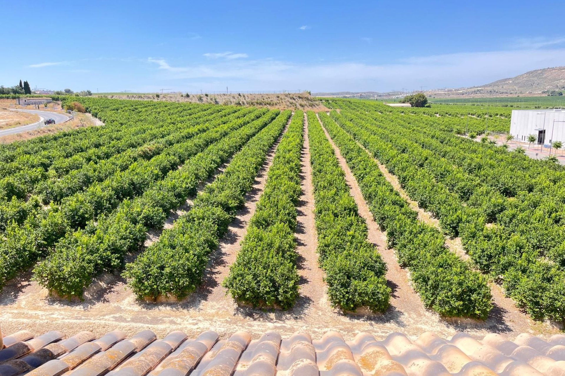 Revente - Apartment -
Algorfa - Inland