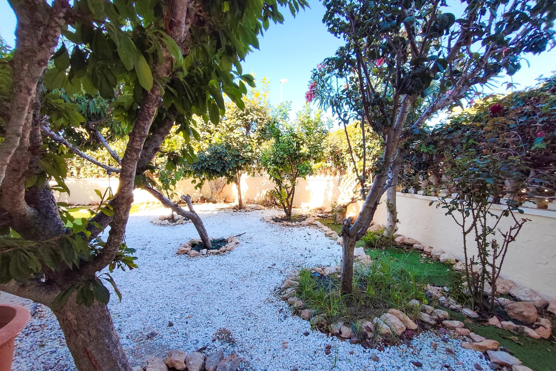 Revente - Apartment -
Cabo Roig - Costa Blanca