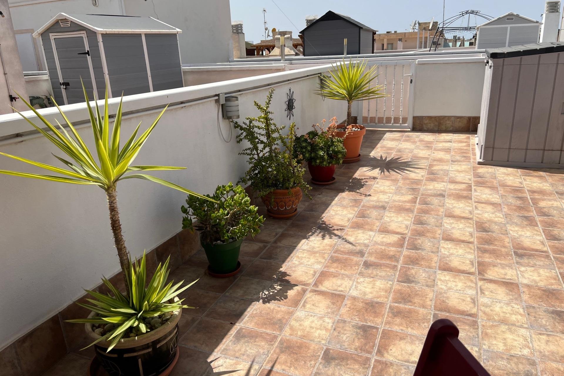 Revente - Apartment -
Dolores - Comunidad Valenciana