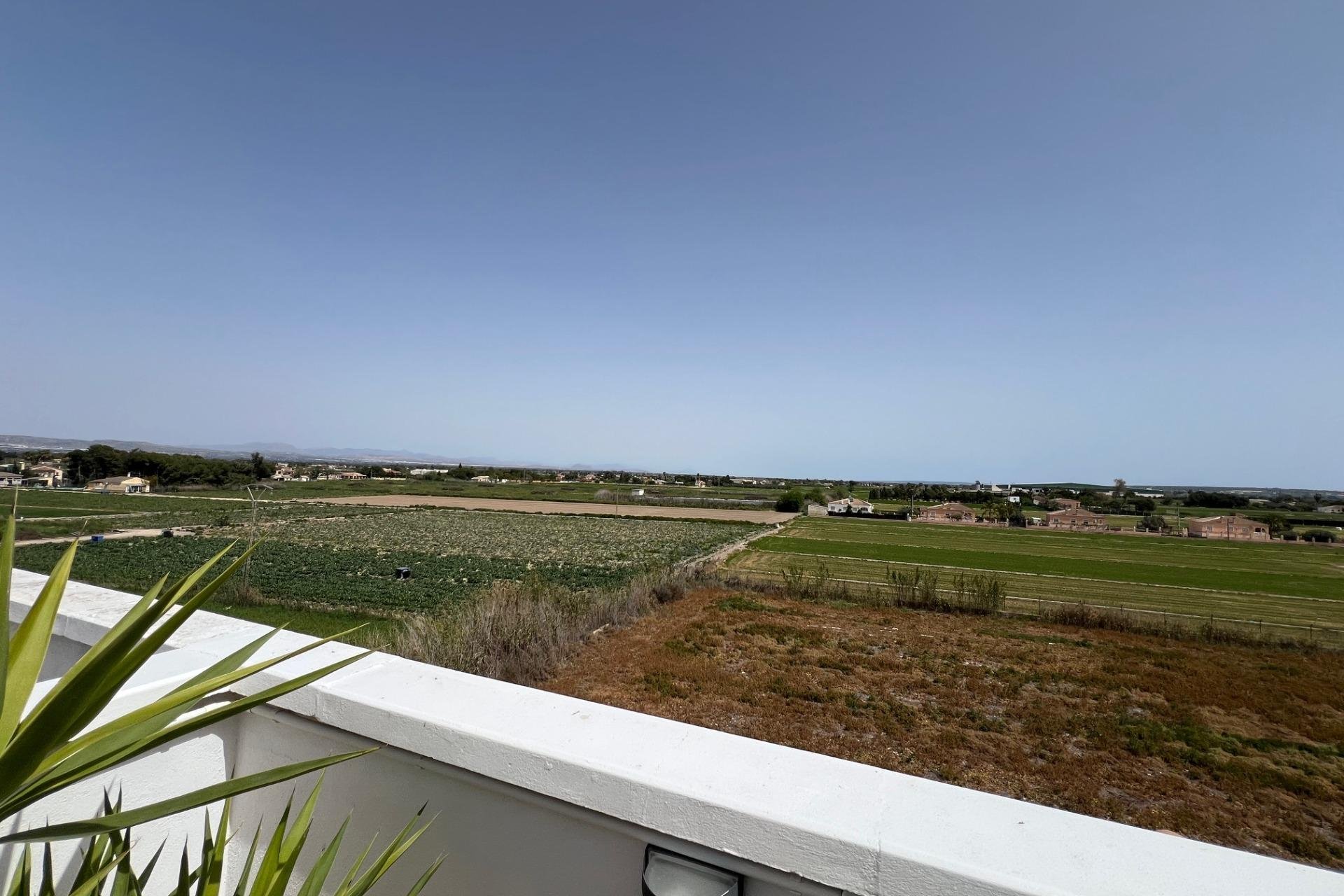 Revente - Apartment -
Dolores - Comunidad Valenciana