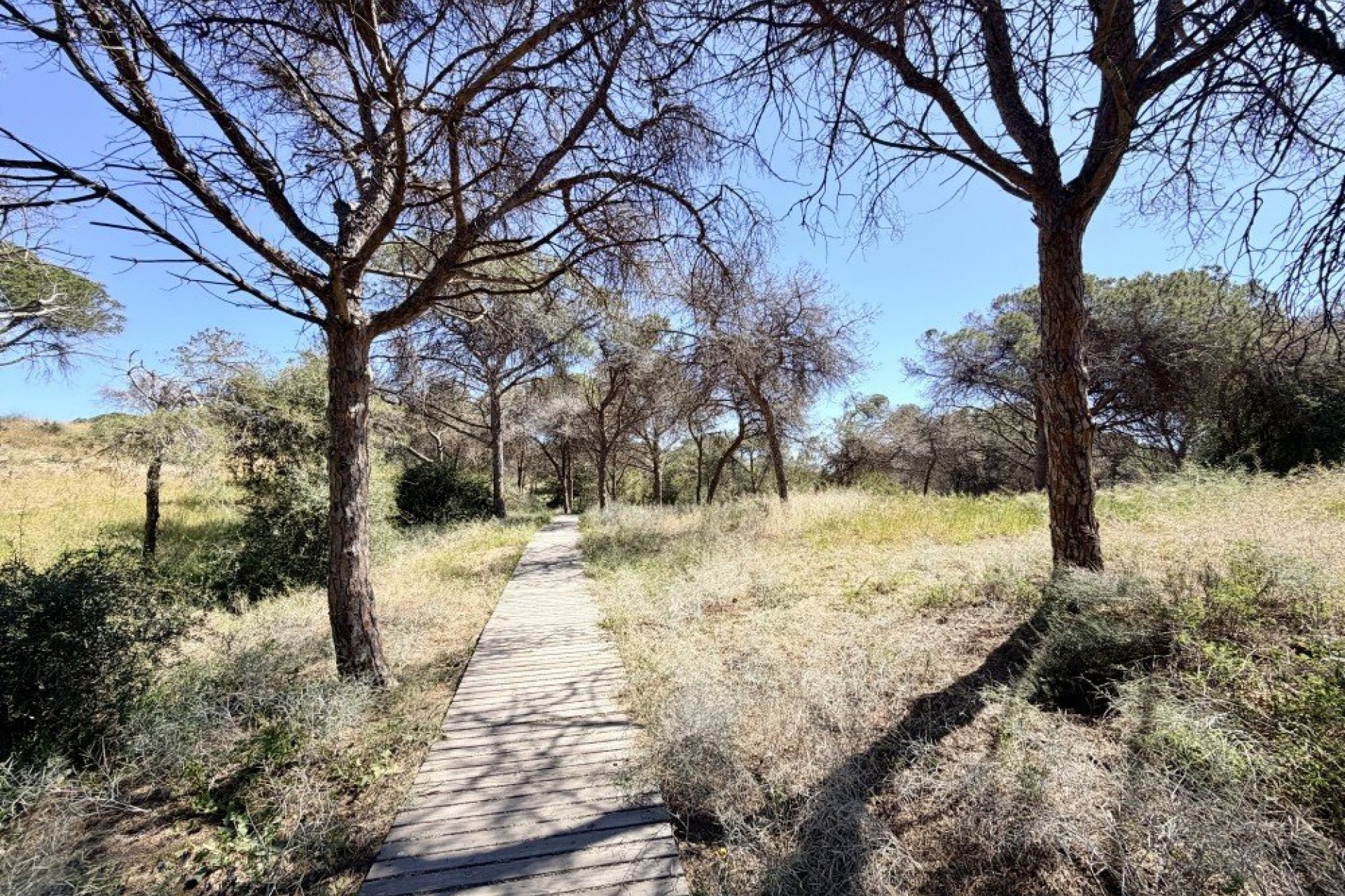 Revente - Apartment -
Guardamar del Segura - Costa Blanca