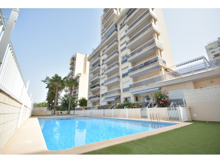 Revente - Apartment -
Guardamar del Segura - Costa Blanca