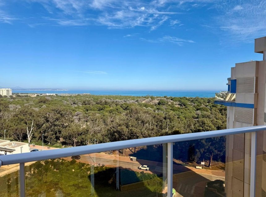 Revente - Apartment -
Guardamar del Segura - Puerto