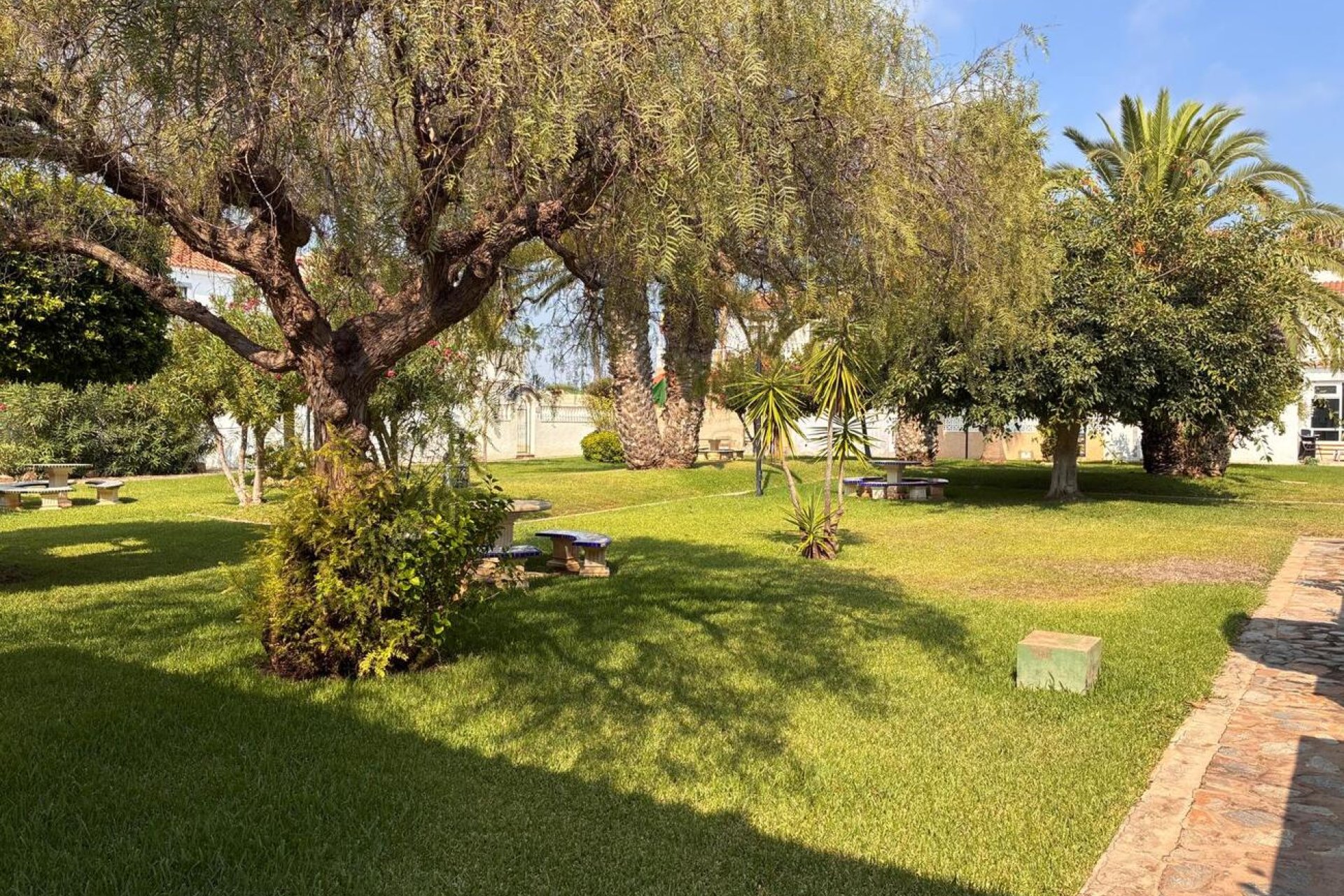 Revente - Apartment -
Los Almendros (Orihuela-Costa) - Costa Blanca