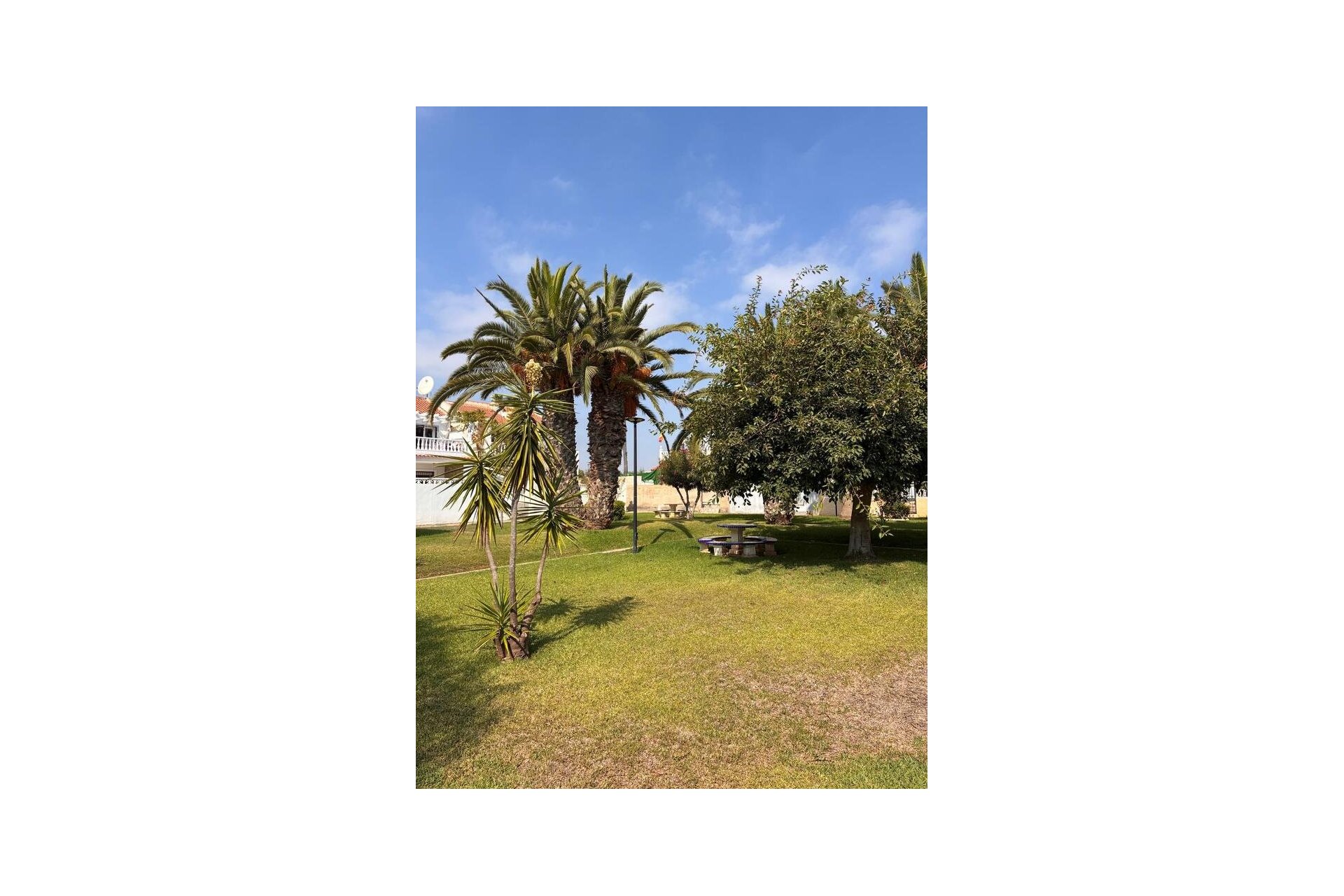Revente - Apartment -
Los Almendros (Orihuela-Costa) - Costa Blanca