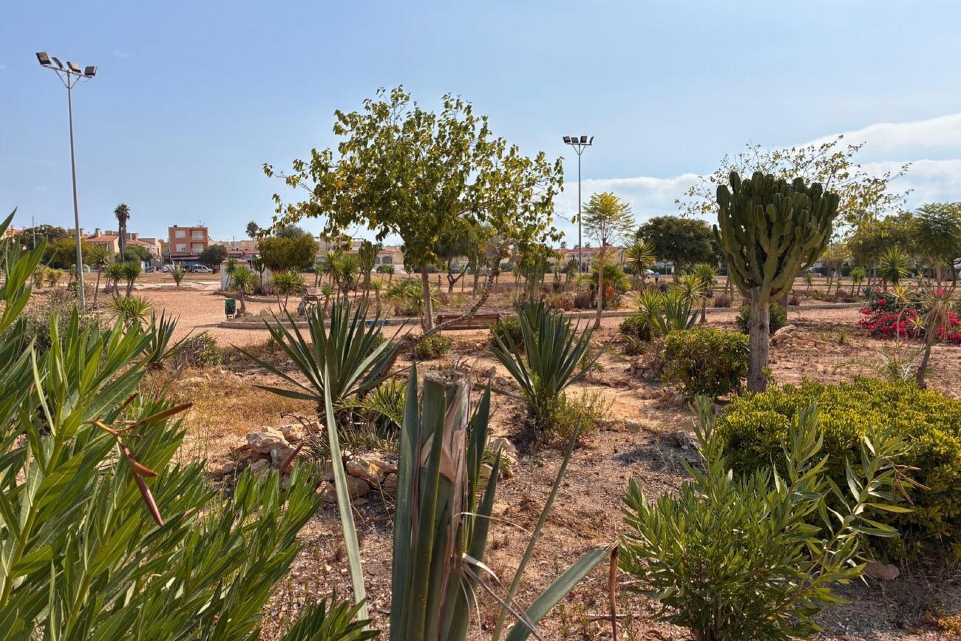 Revente - Apartment -
Los Almendros (Orihuela-Costa) - Costa Blanca