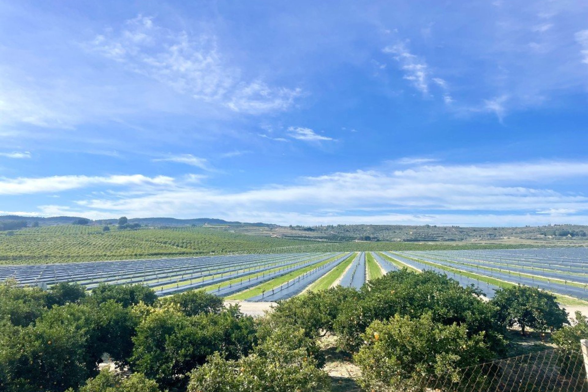 Revente - Apartment -
Orihuela Costa - Costa Blanca