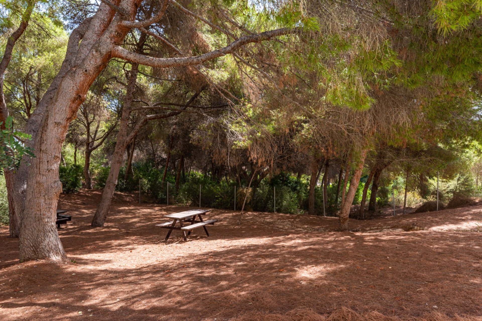 Revente - Apartment -
Orihuela Costa - Costa Blanca