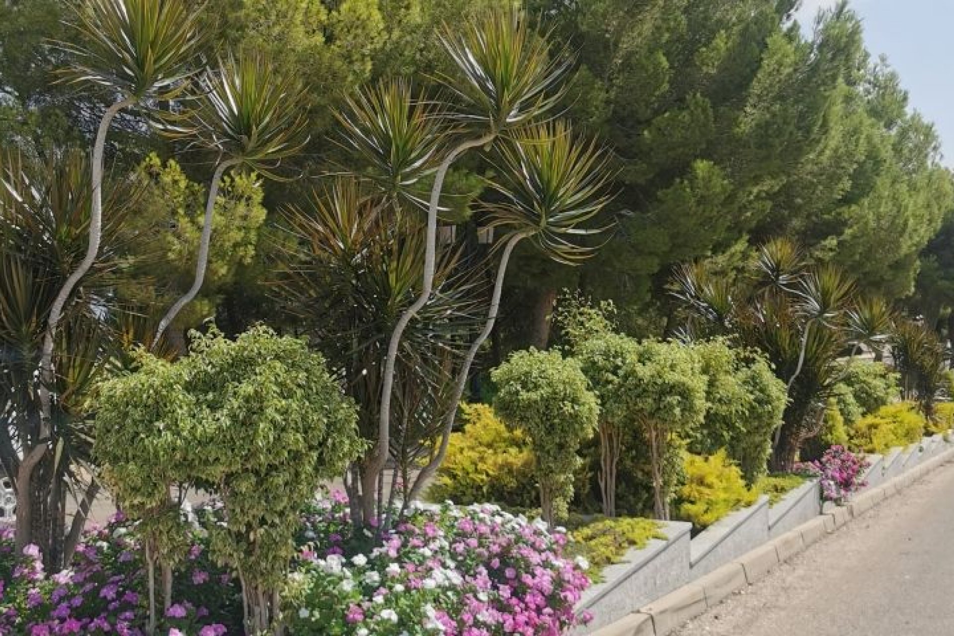 Revente - Apartment -
Orihuela Costa - Costa Blanca