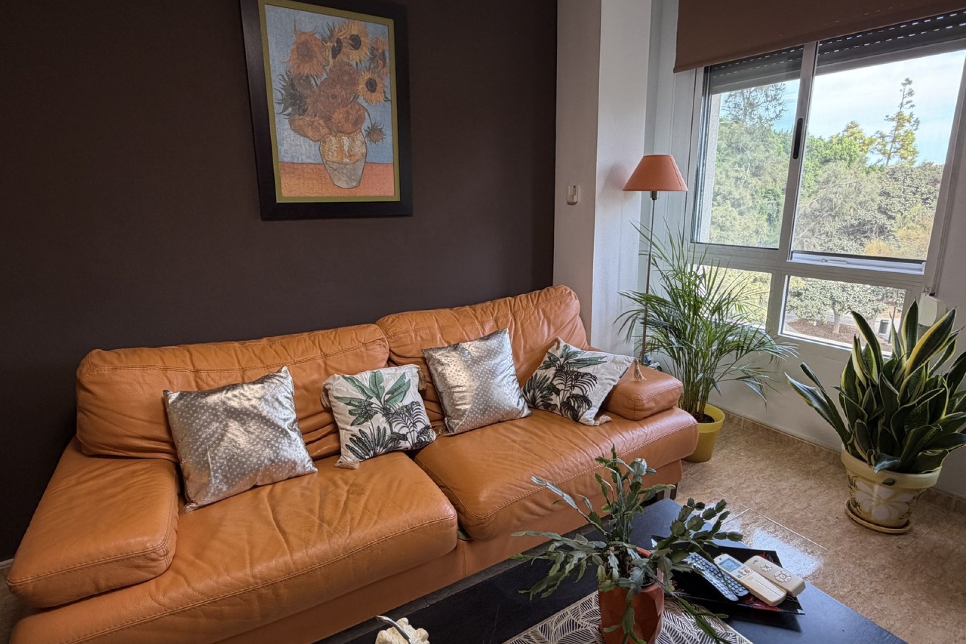 Revente - Apartment -
Pilar de la Horadada - Costa Blanca