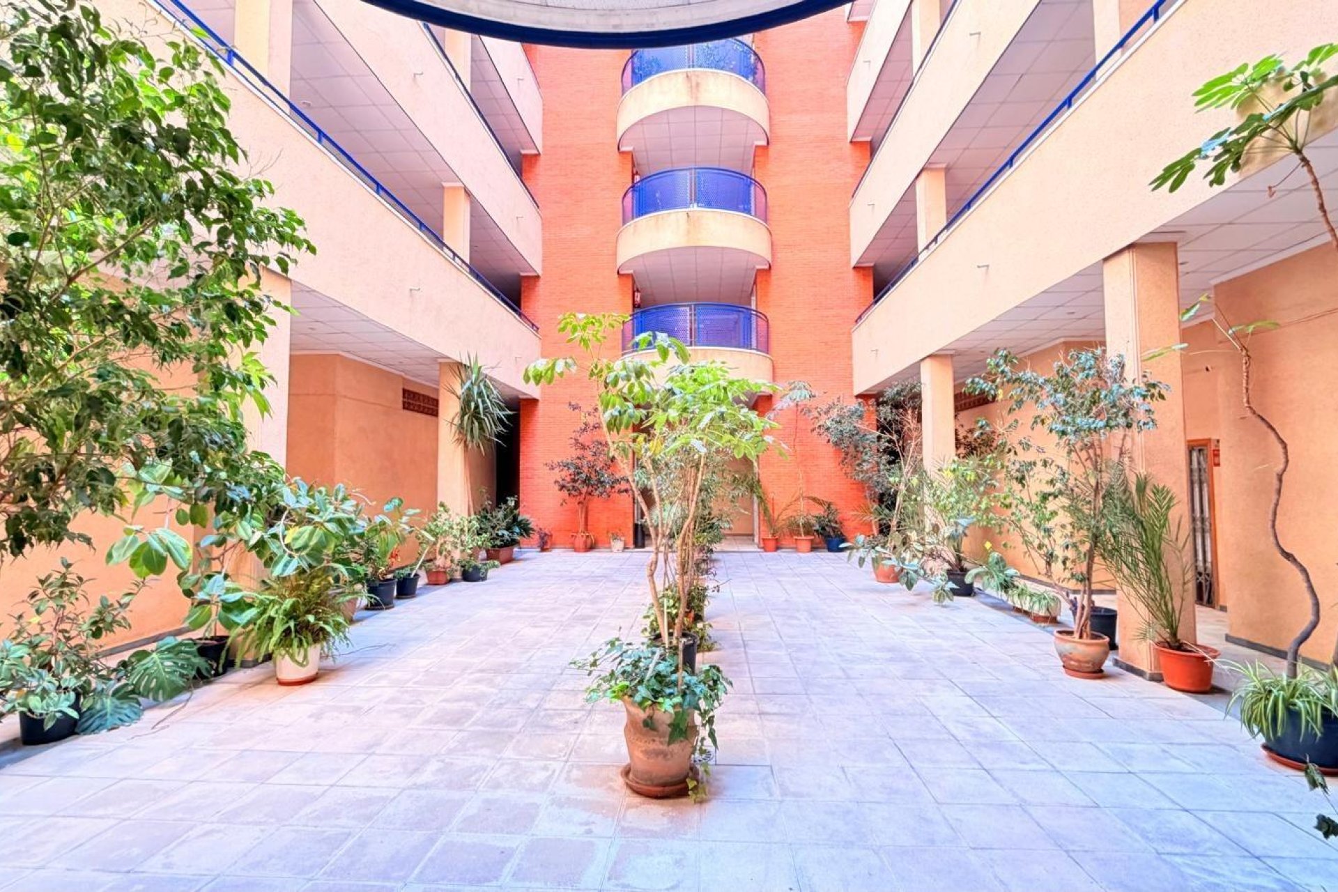Revente - Apartment -
Torrevieja - Acequion
