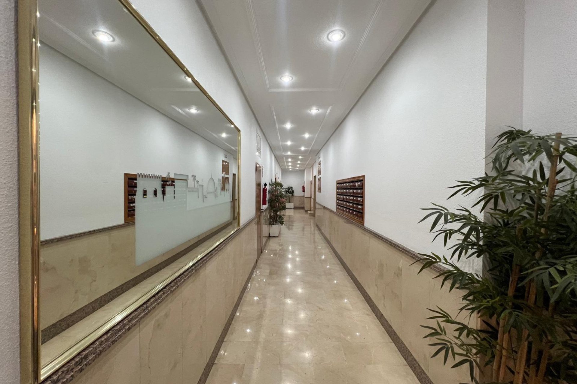 Revente - Apartment -
Torrevieja - Centro