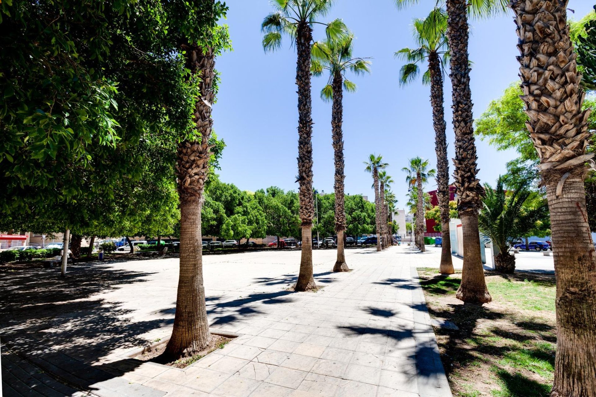 Revente - Apartment -
Torrevieja - Centro