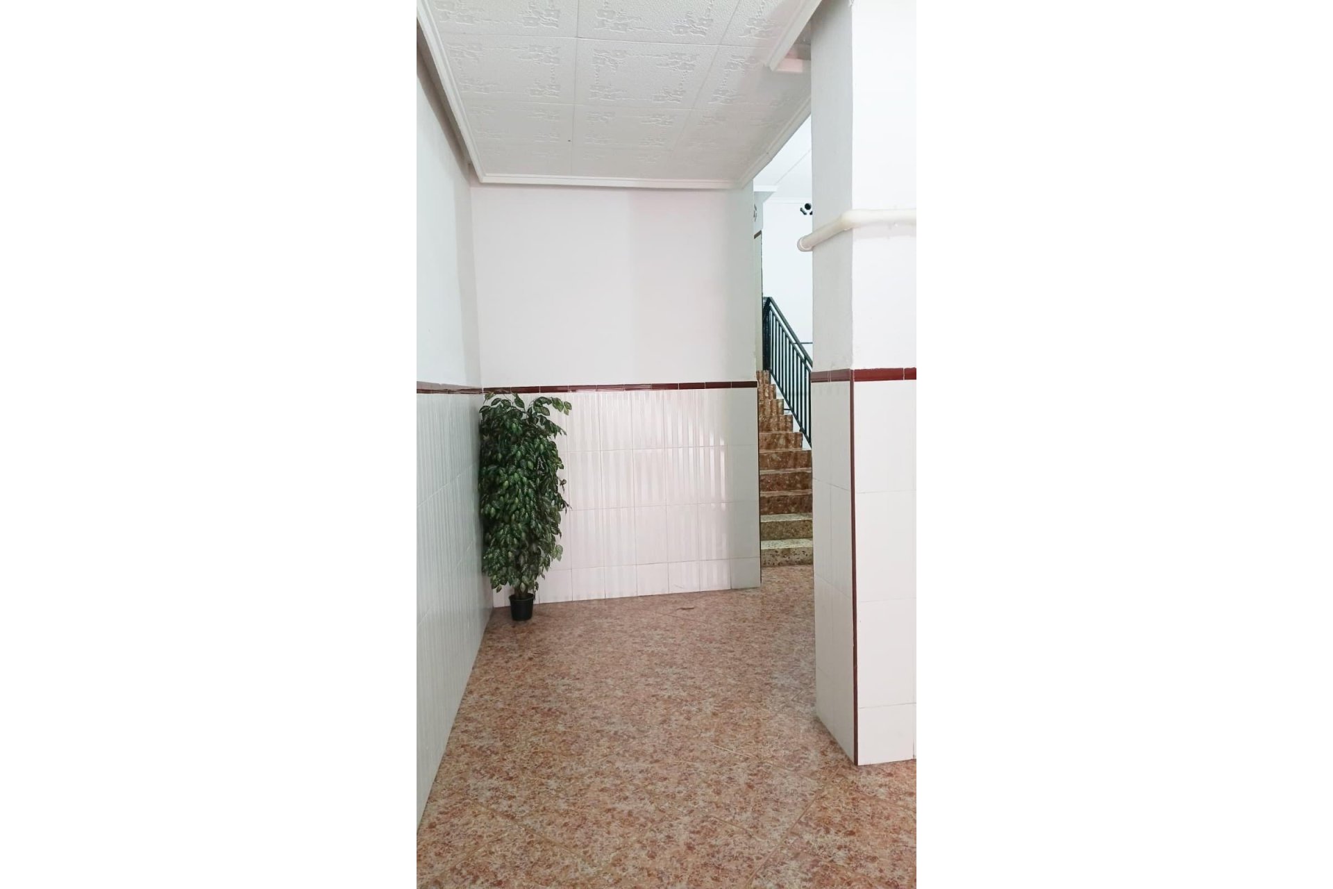 Revente - Apartment -
Torrevieja - Centro