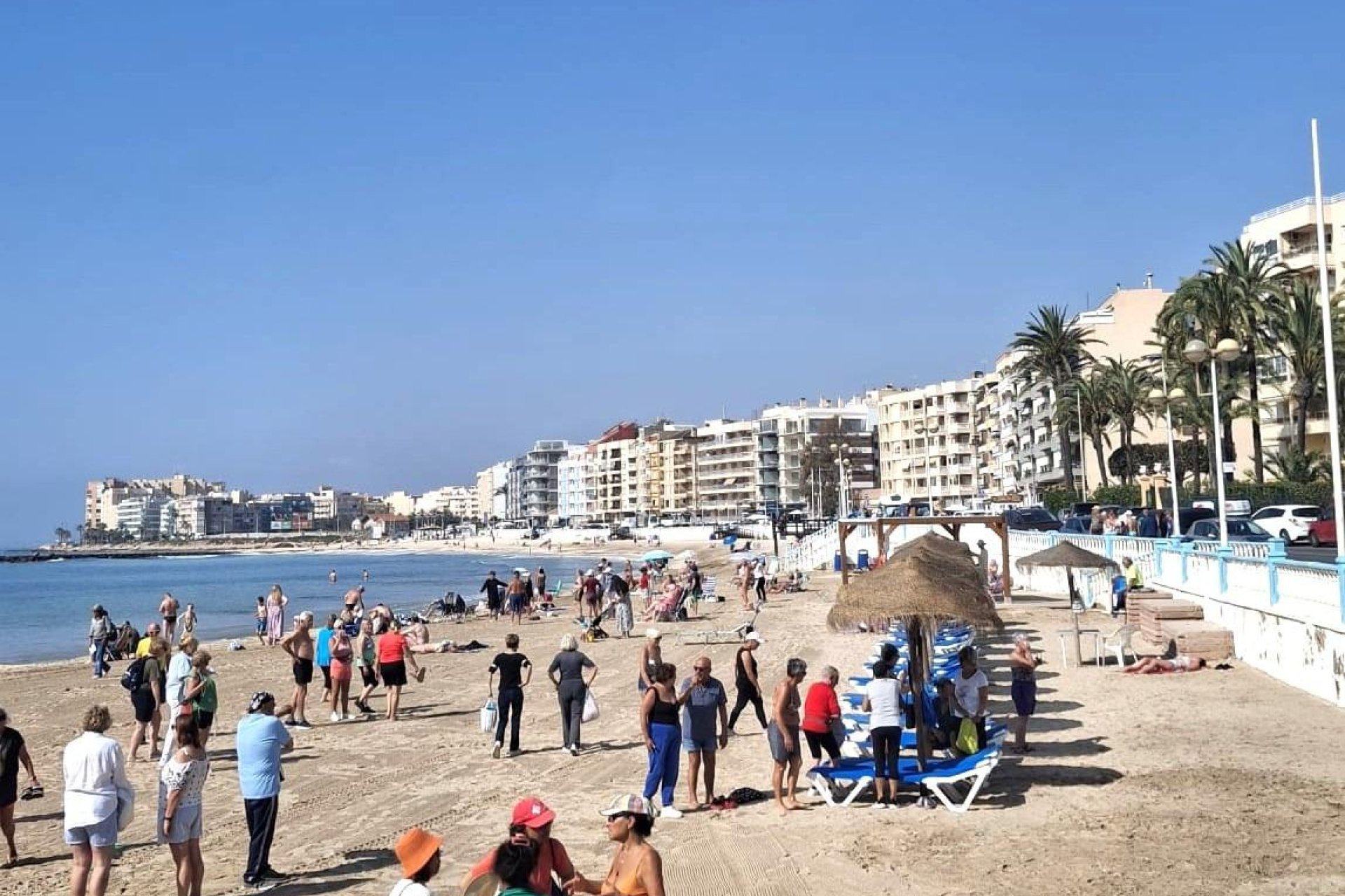 Revente - Apartment -
Torrevieja - Centro