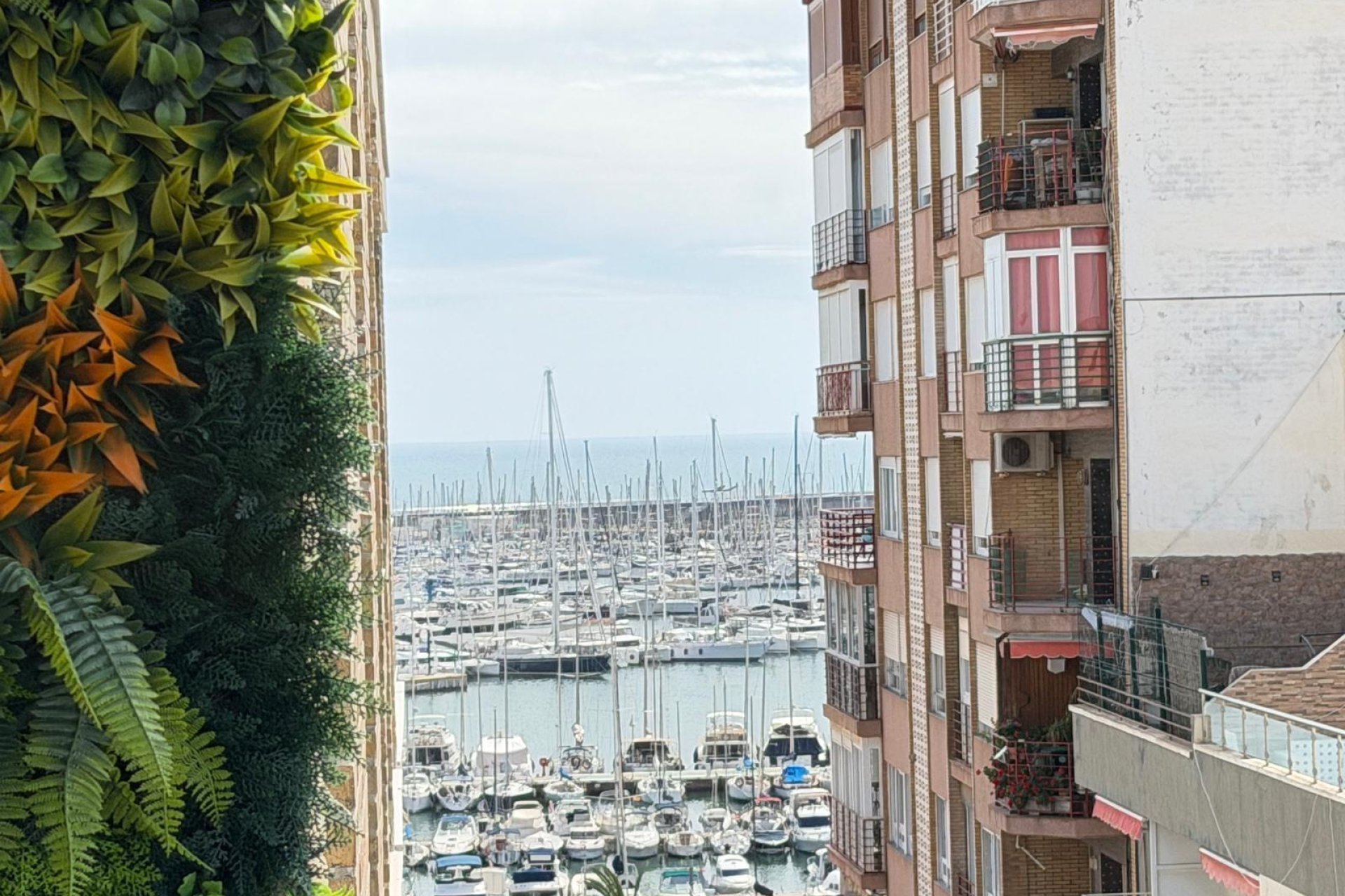 Revente - Apartment -
Torrevieja - Centro