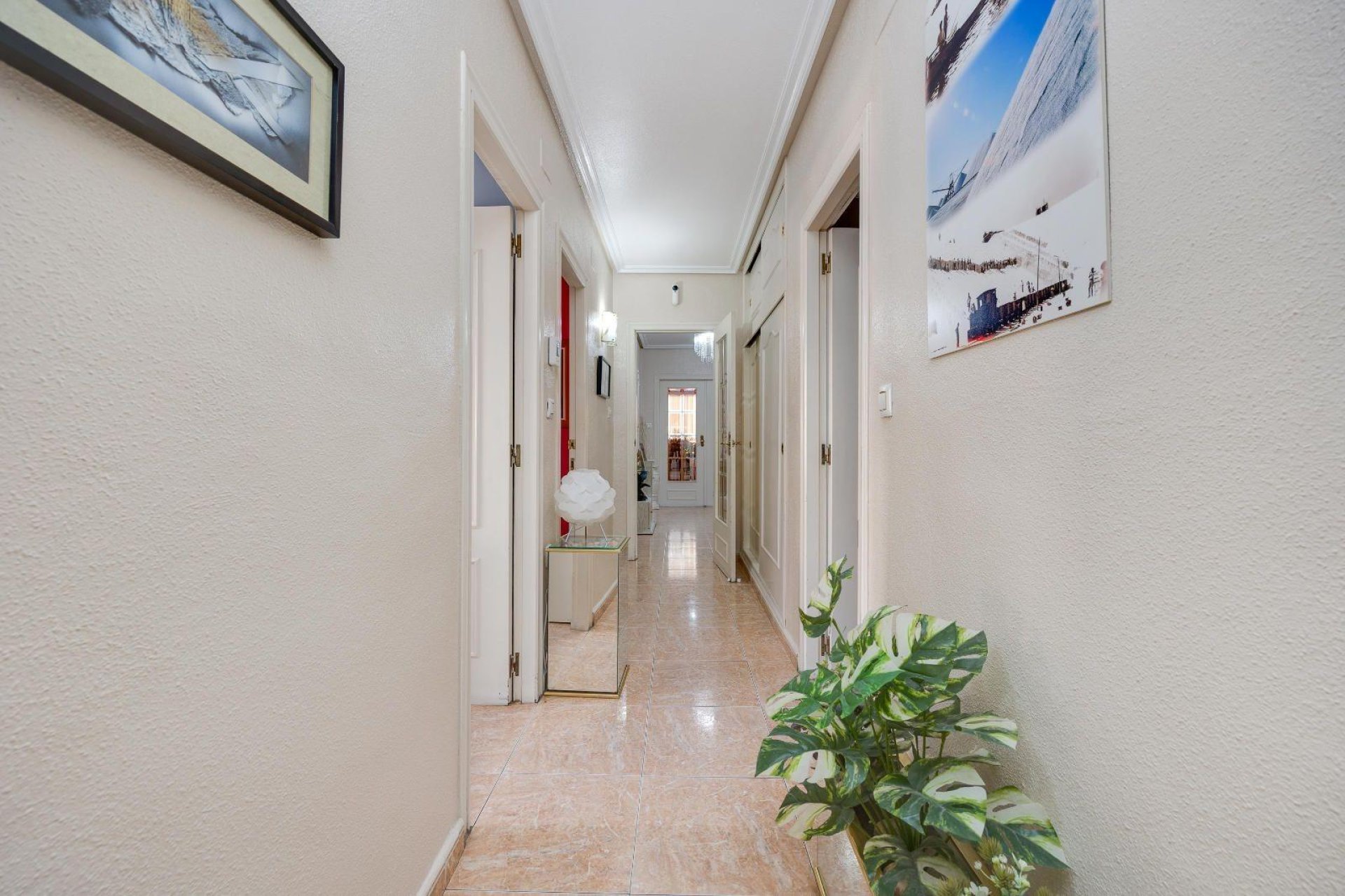 Revente - Apartment -
Torrevieja - Centro