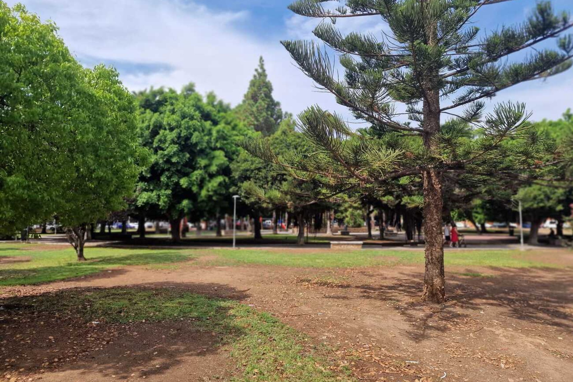 Revente - Apartment -
Torrevieja - Costa Blanca