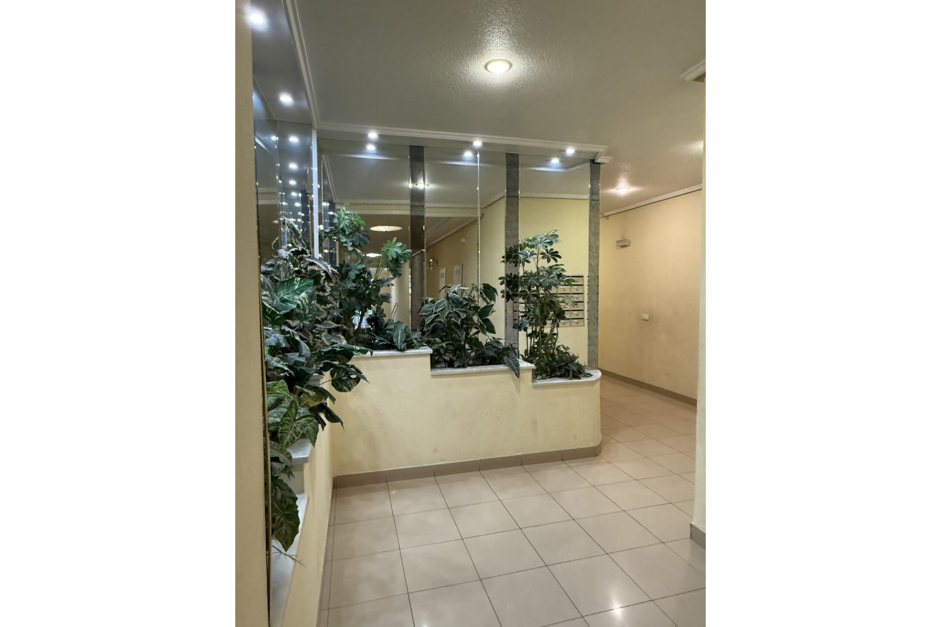 Revente - Apartment -
Torrevieja - Costa Blanca