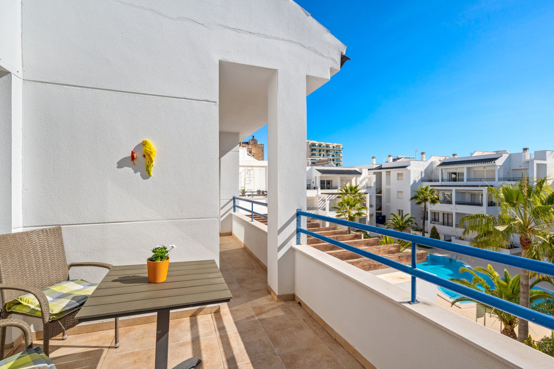 Revente - Apartment -
Torrevieja - Costa Blanca