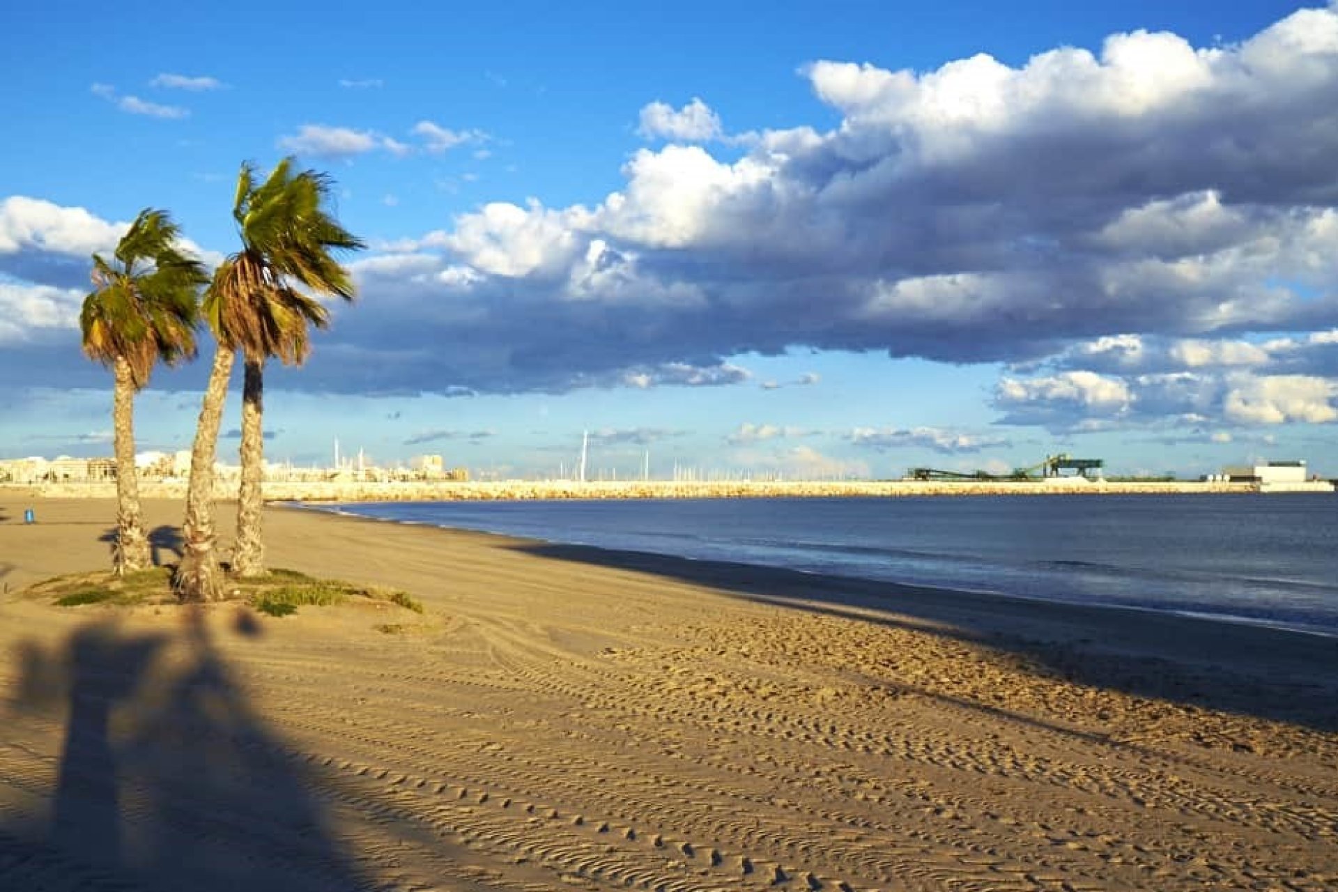 Revente - Apartment -
Torrevieja - Costa Blanca