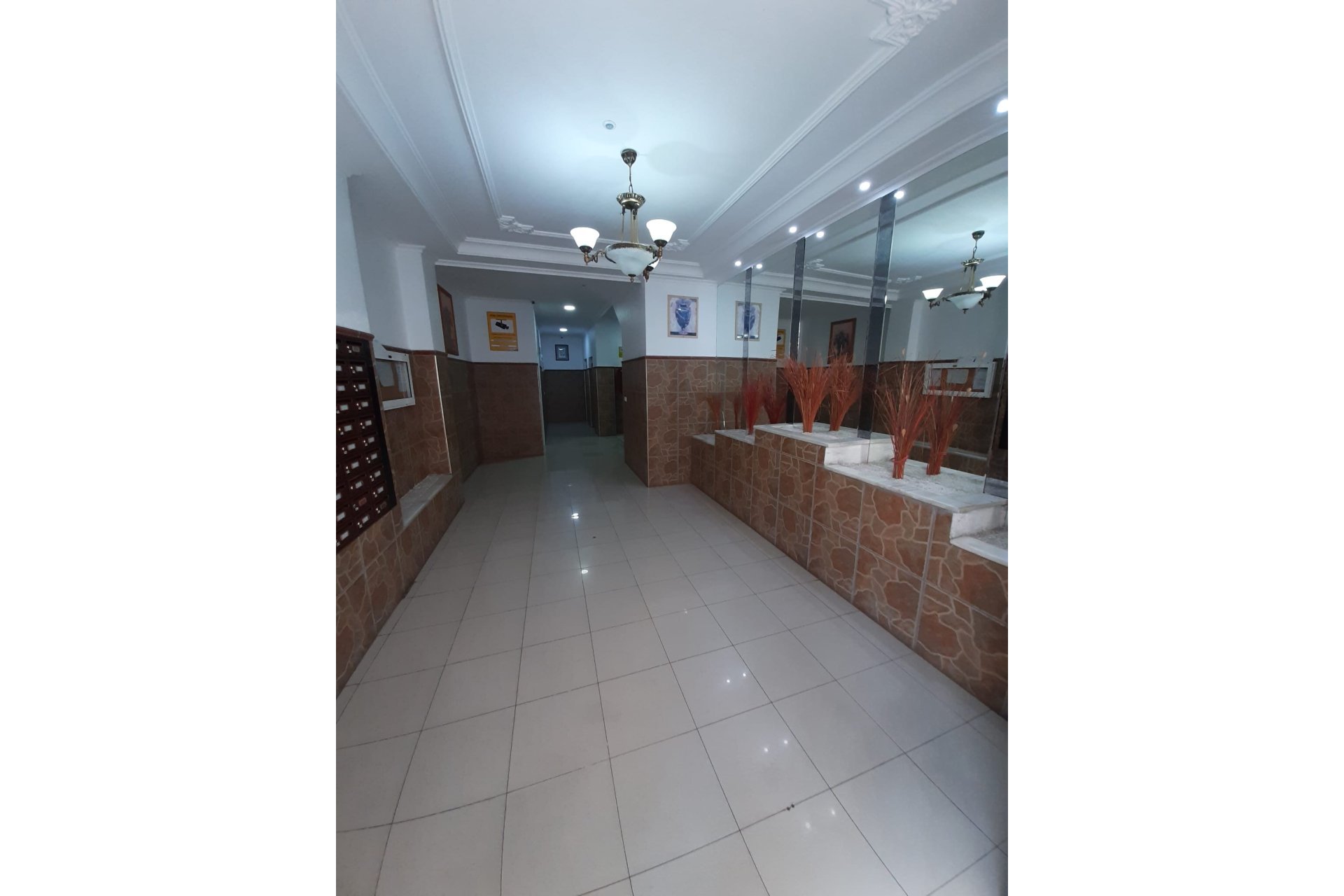 Revente - Apartment -
Torrevieja - Costa Blanca