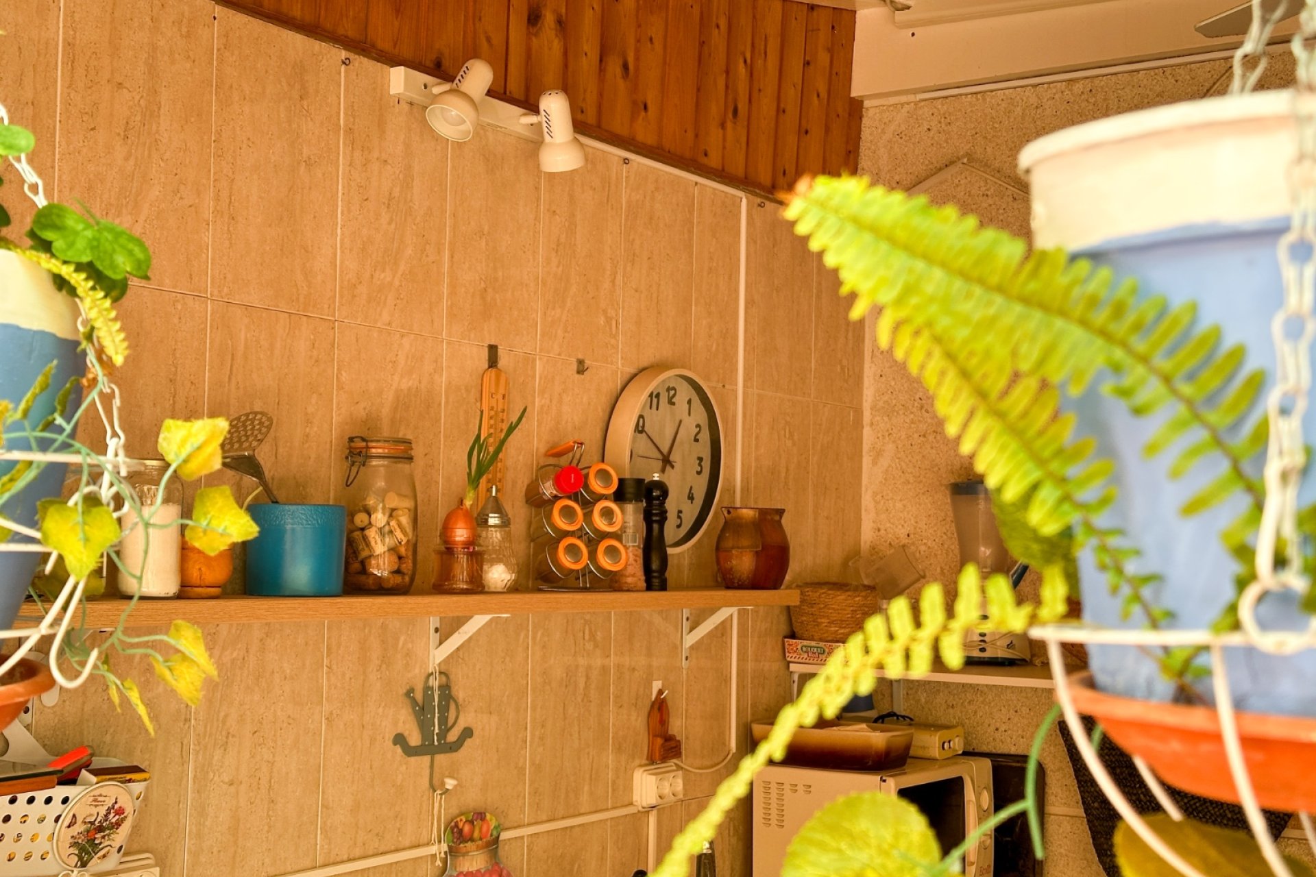 Revente - Apartment -
Torrevieja - Costa Blanca