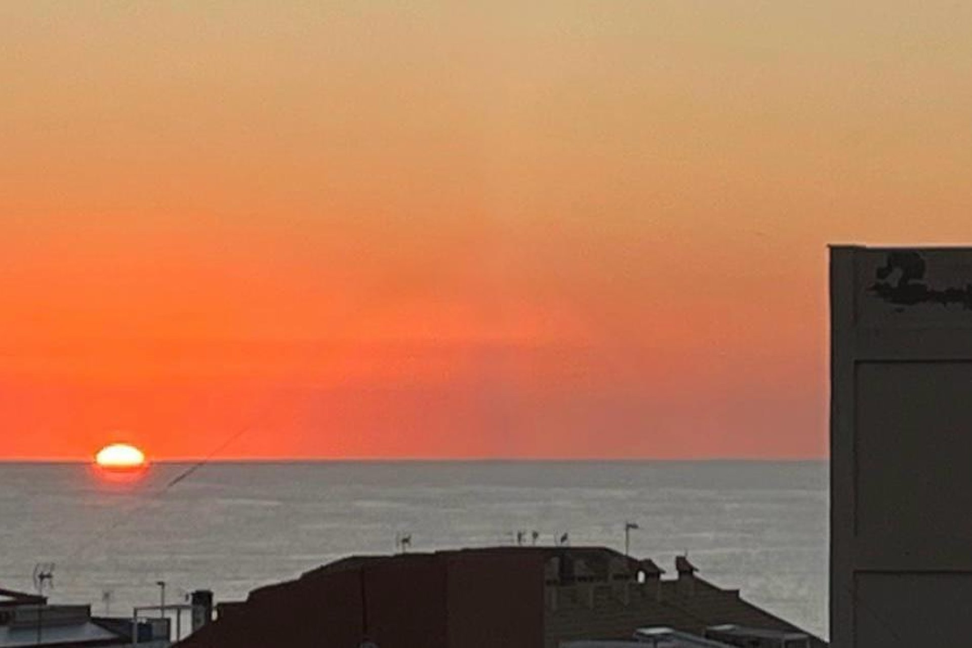 Revente - Apartment -
Torrevieja - Costa Blanca