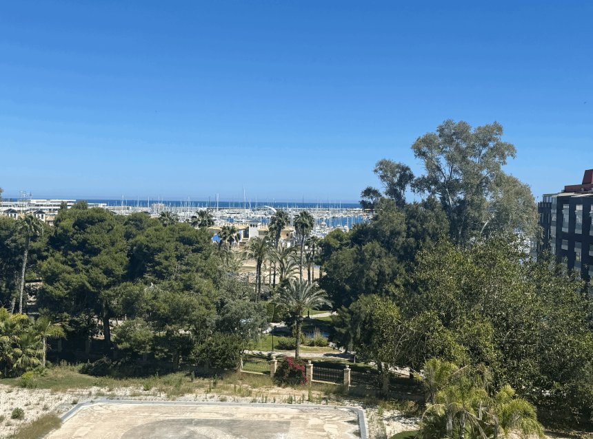 Revente - Apartment -
Torrevieja - Costa Blanca