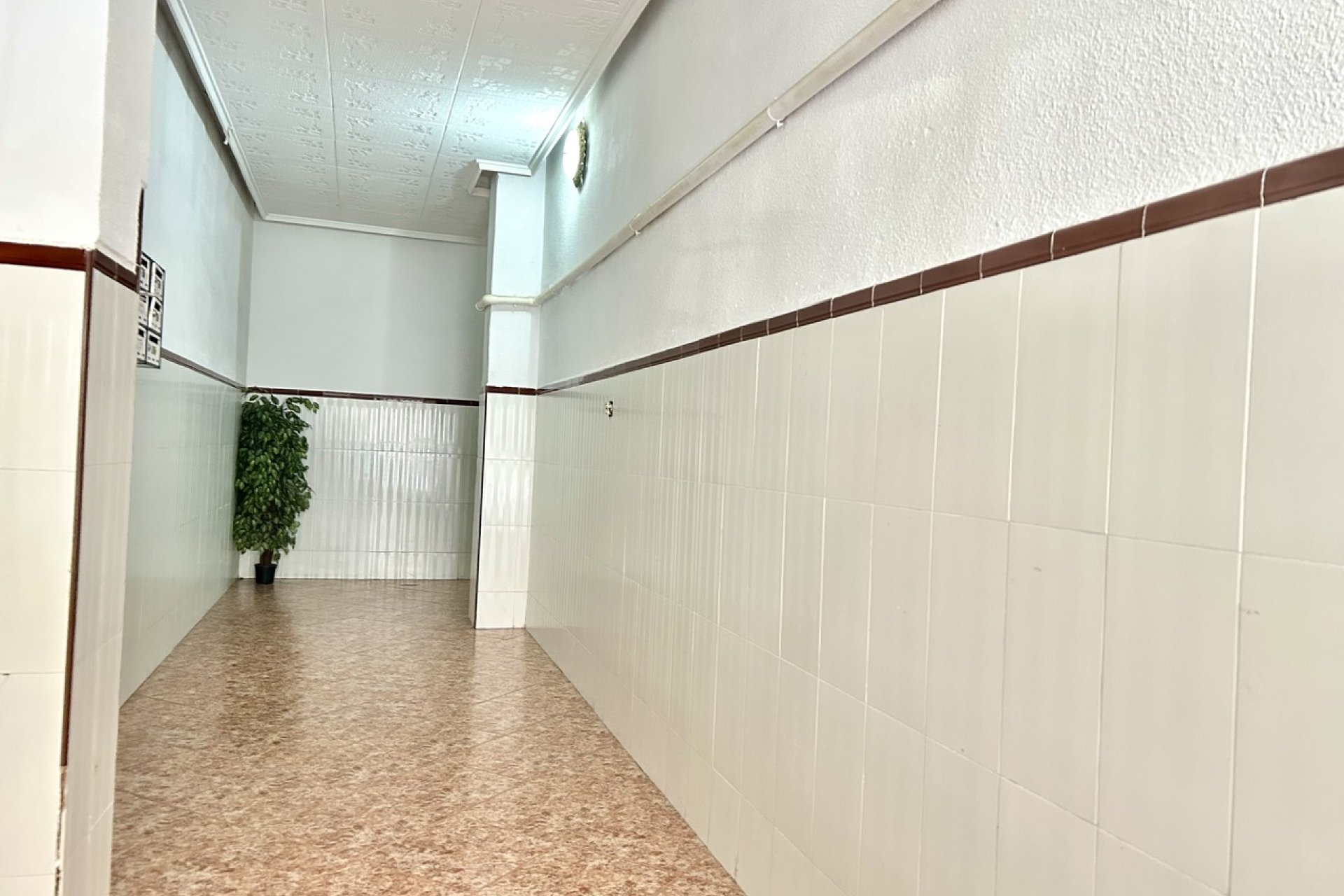 Revente - Apartment -
Torrevieja - Costa Blanca