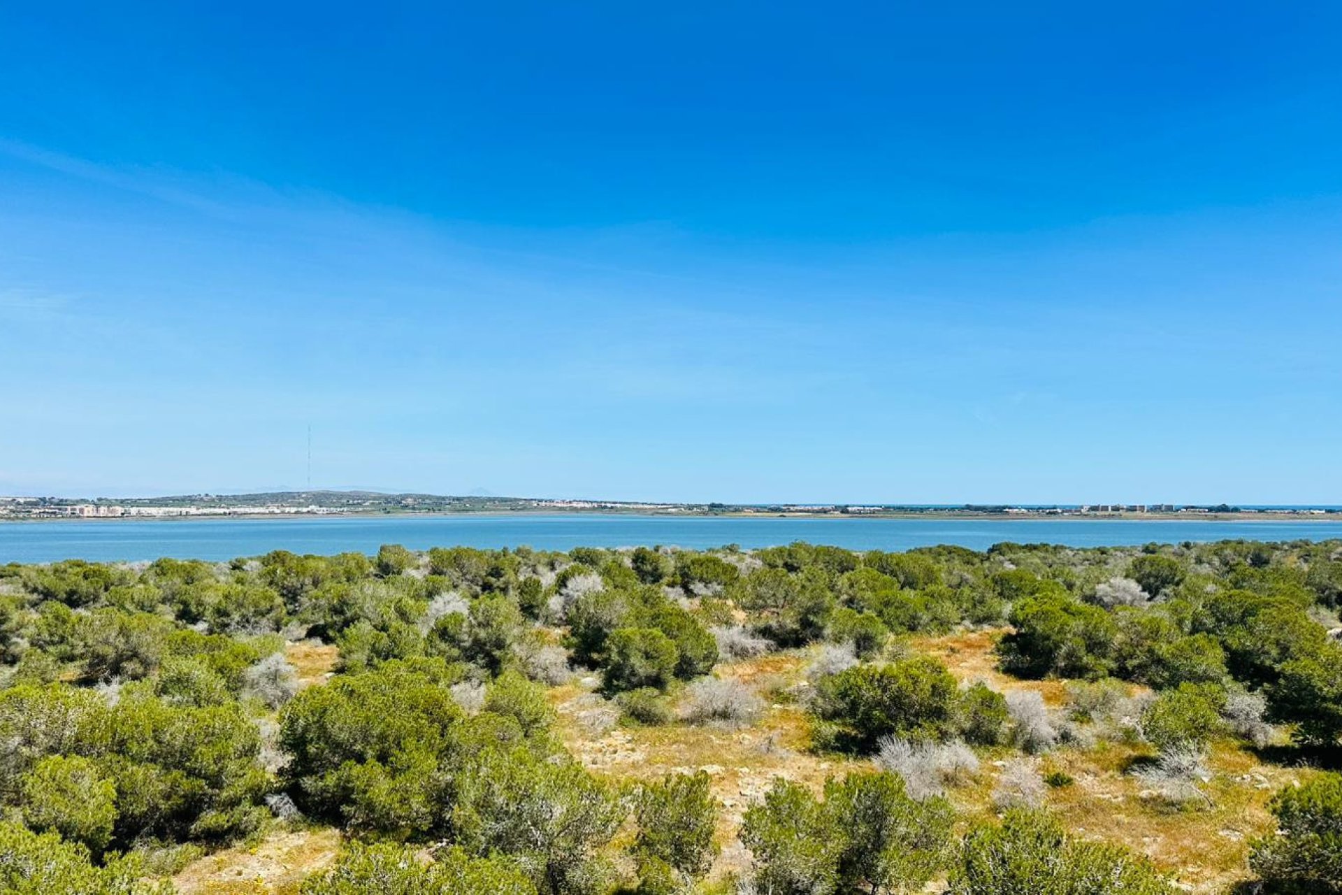 Revente - Apartment -
Torrevieja - Costa Blanca