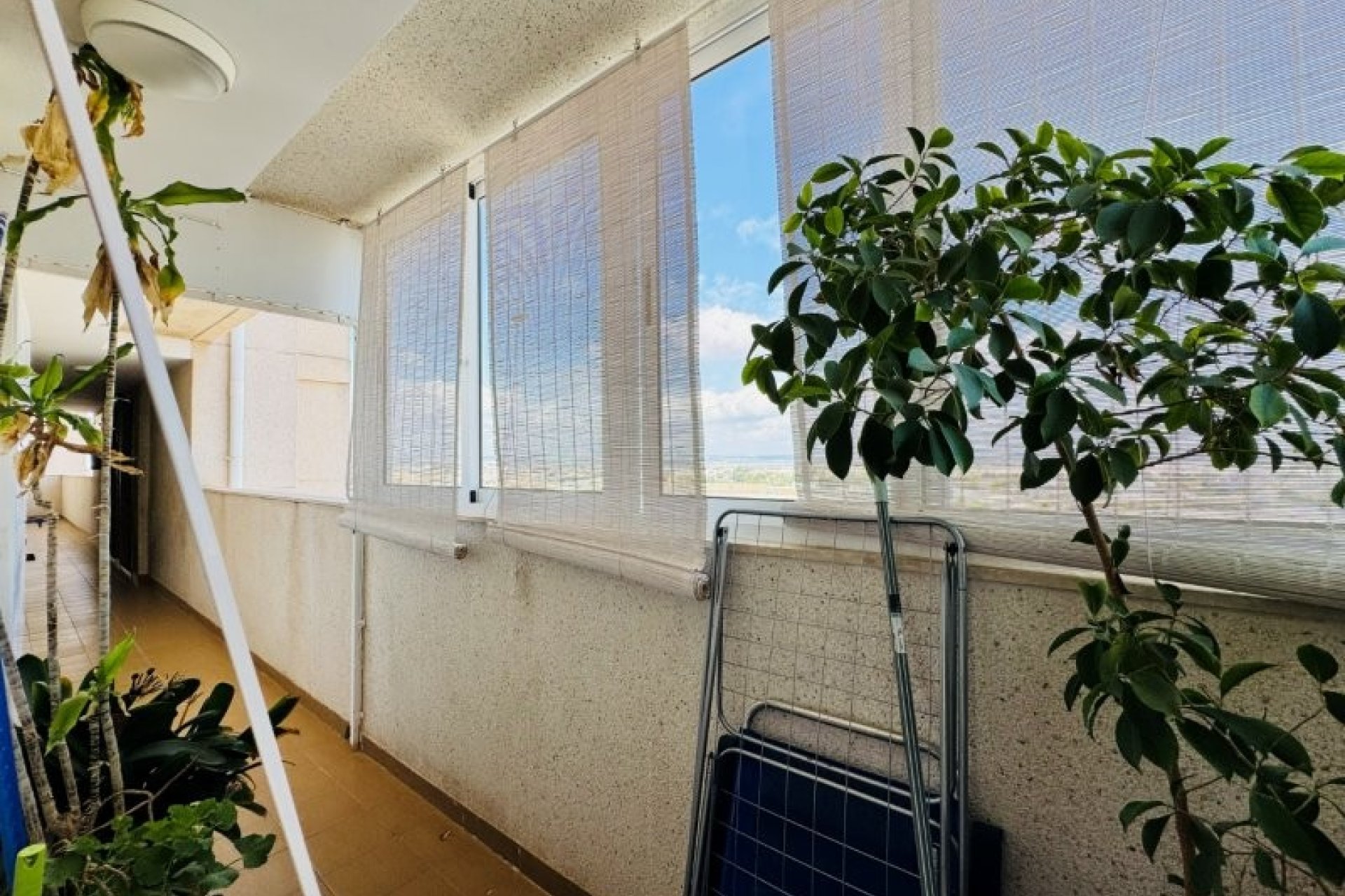 Revente - Apartment -
Torrevieja - Costa Blanca