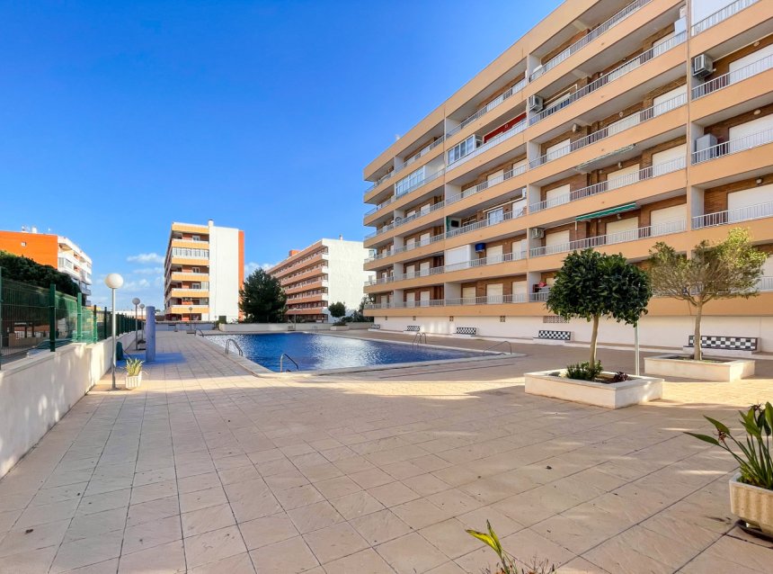 Revente - Apartment -
Torrevieja - Costa Blanca