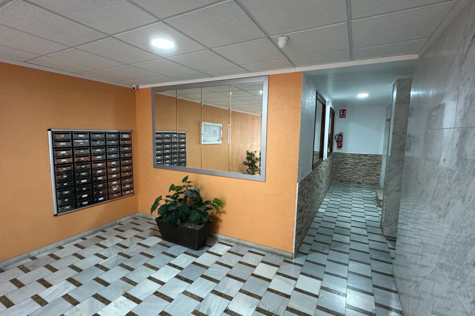 Revente - Apartment -
Torrevieja - Costa Blanca