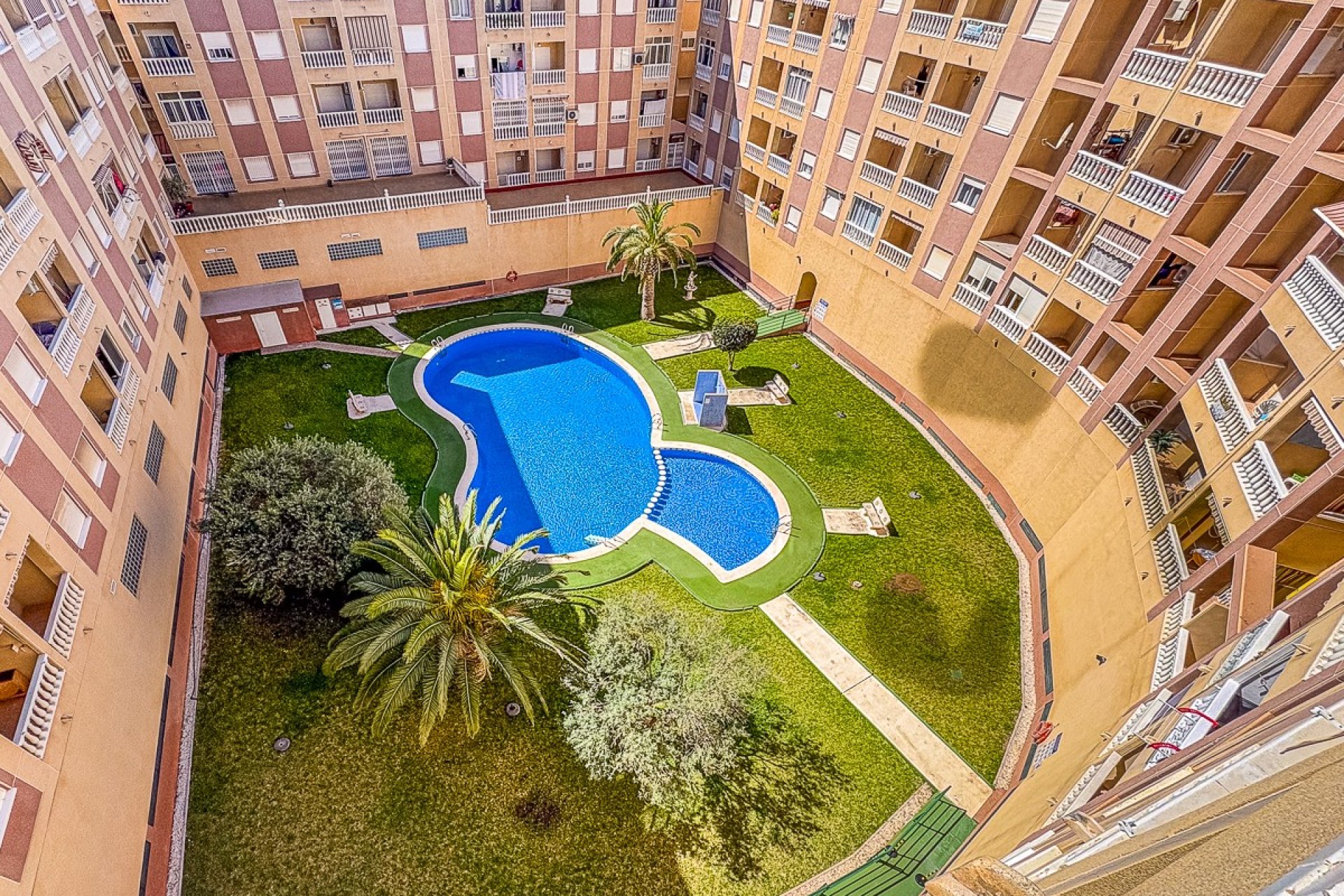 Revente - Apartment -
Torrevieja - Costa Blanca