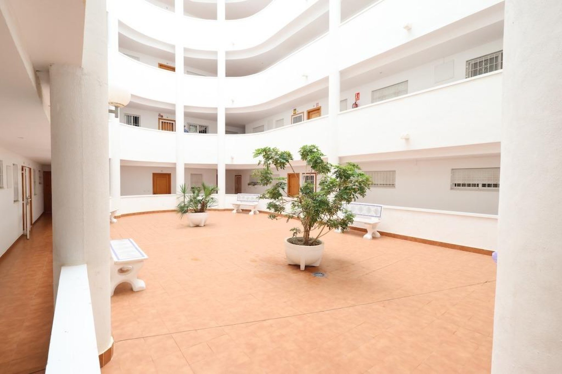Revente - Apartment -
Torrevieja - Costa Blanca