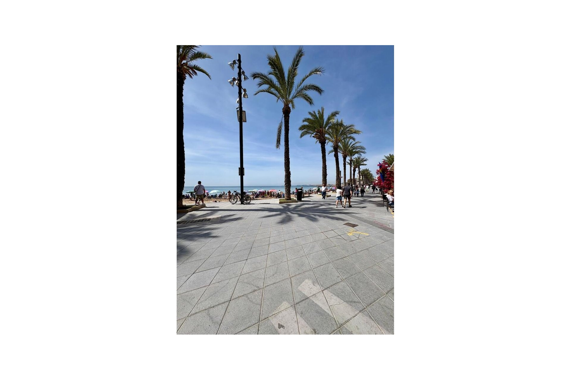 Revente - Apartment -
Torrevieja - Costa Blanca