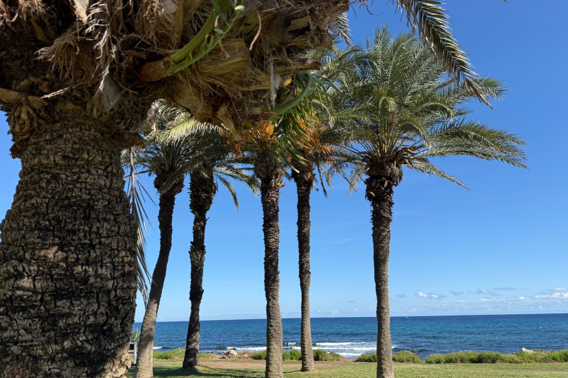 Revente - Apartment -
Torrevieja - Costa Blanca